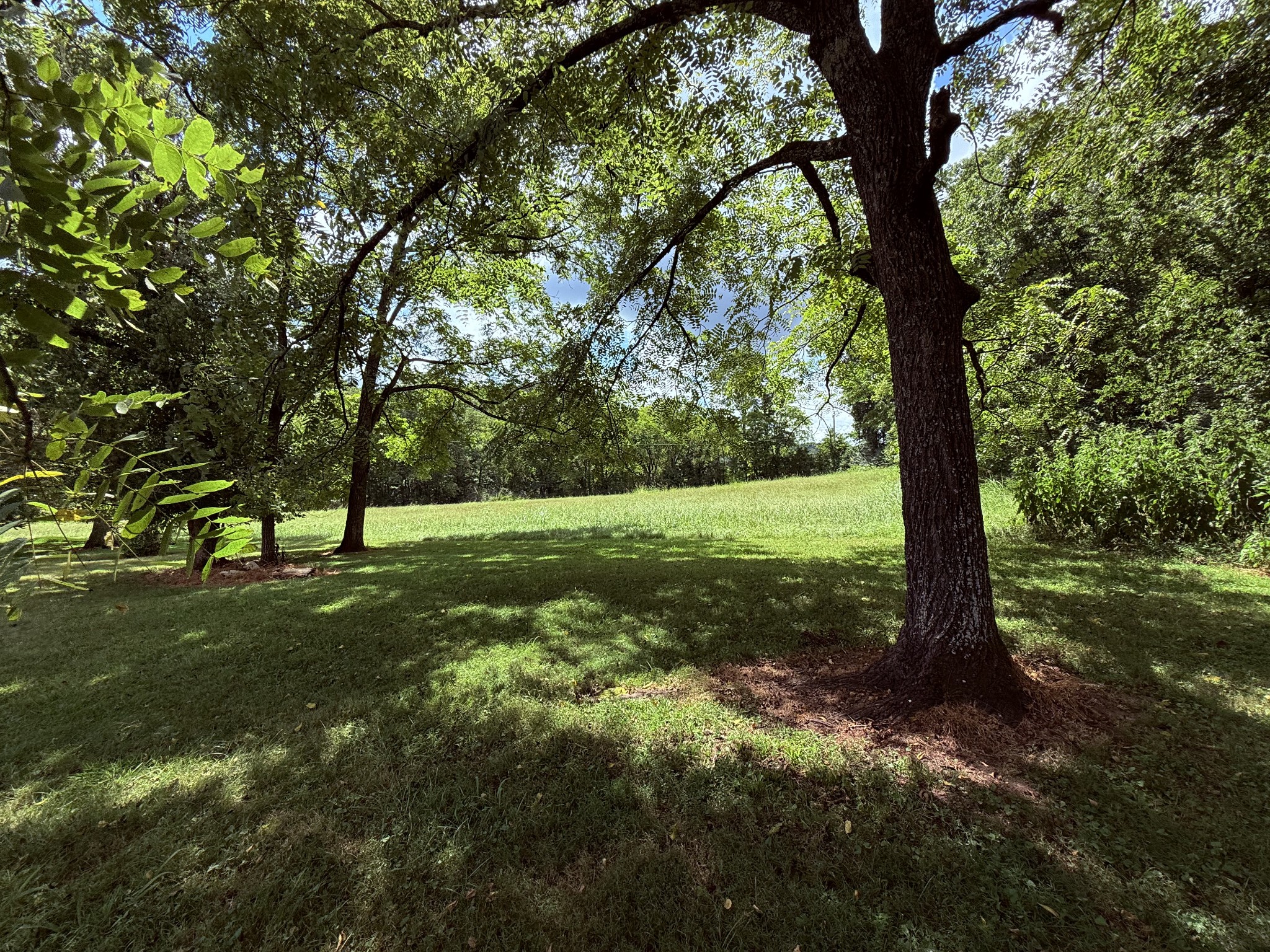 4 Haynes Rd Property Photo 1