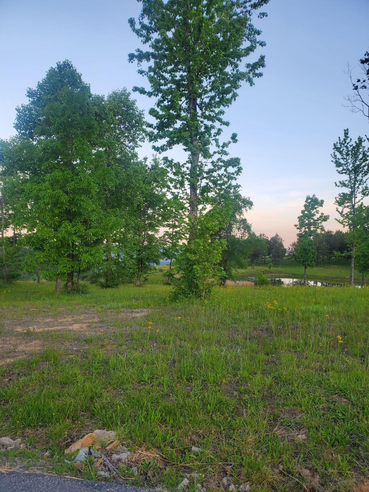 0 Misty View Court Property Photo 17