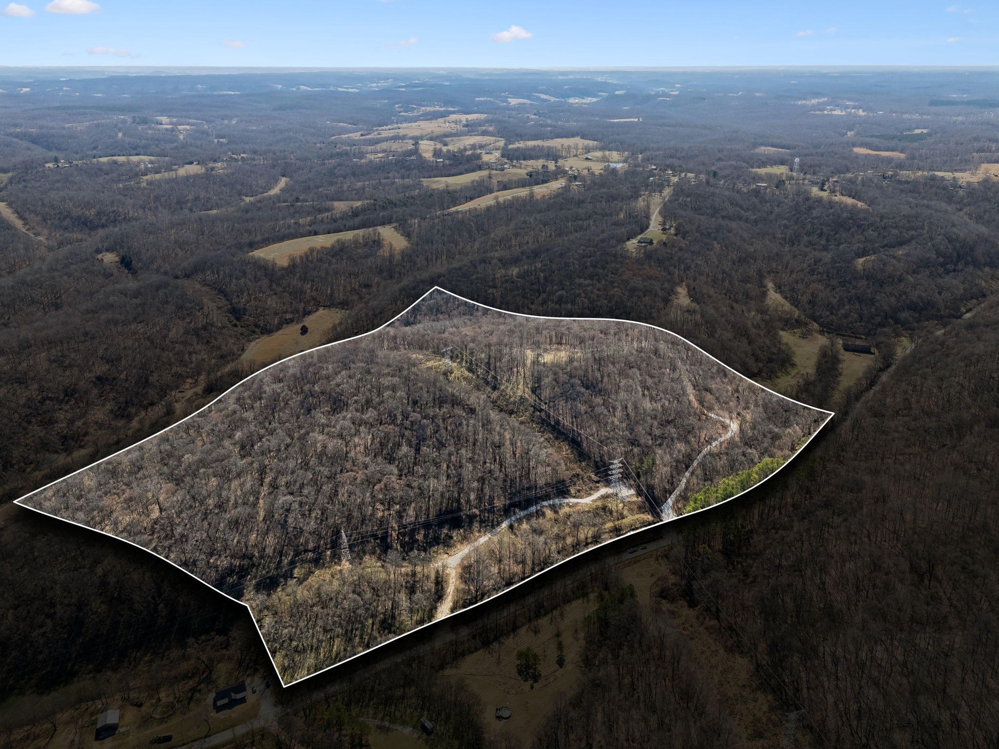 8771 Dog Branch Rd Property Photo 2