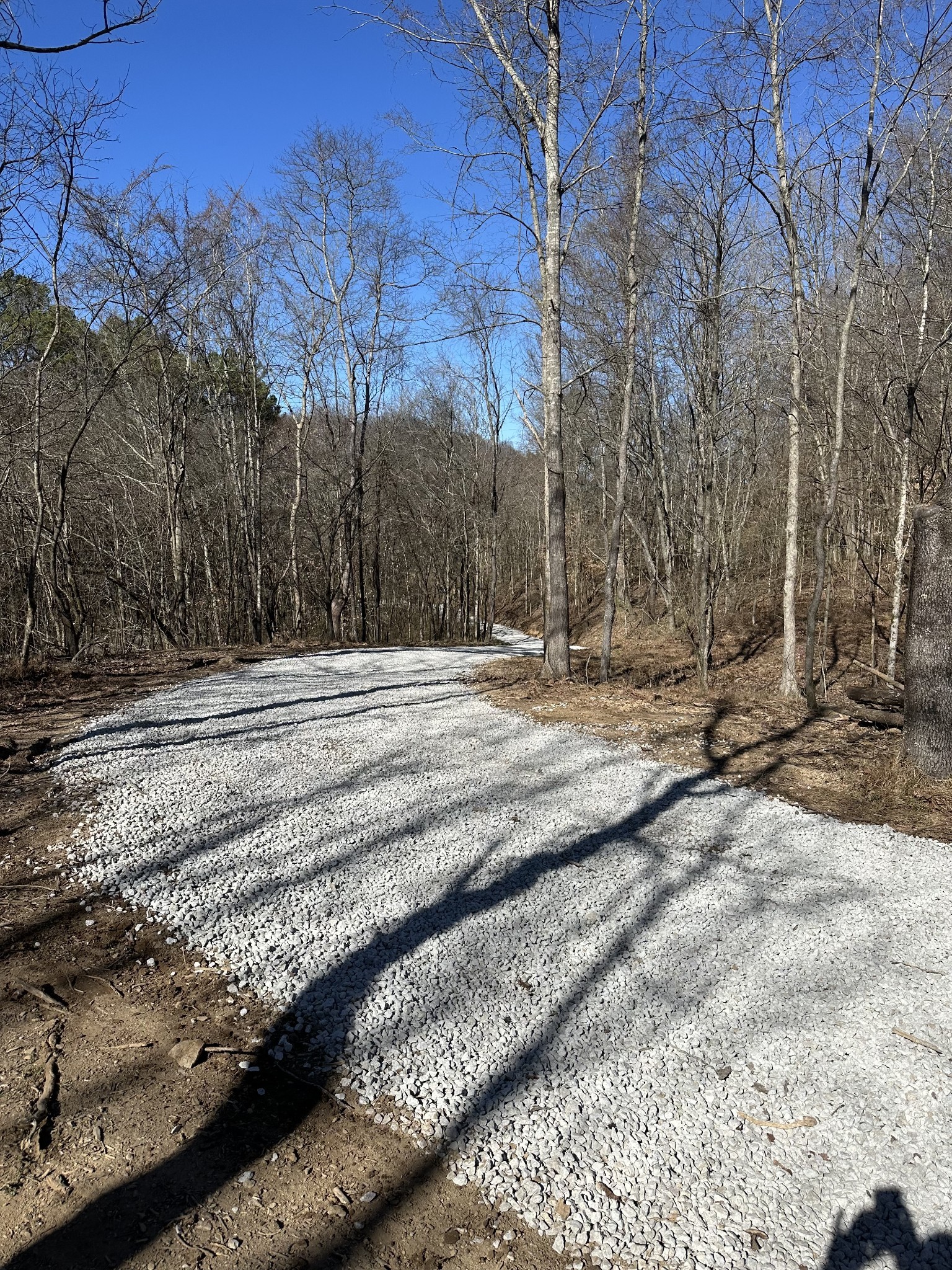 8771 Dog Branch Rd Property Photo 6