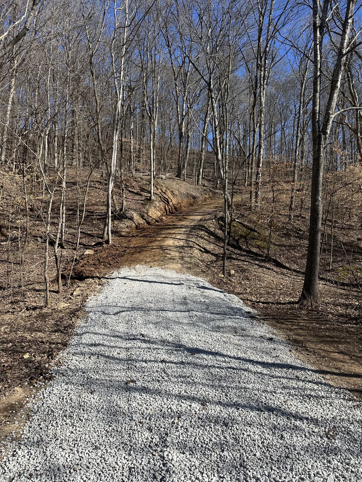 8771 Dog Branch Rd Property Photo 7