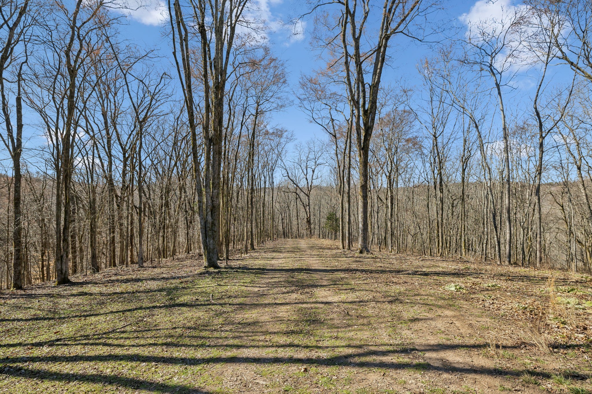 8771 Dog Branch Rd Property Photo 8