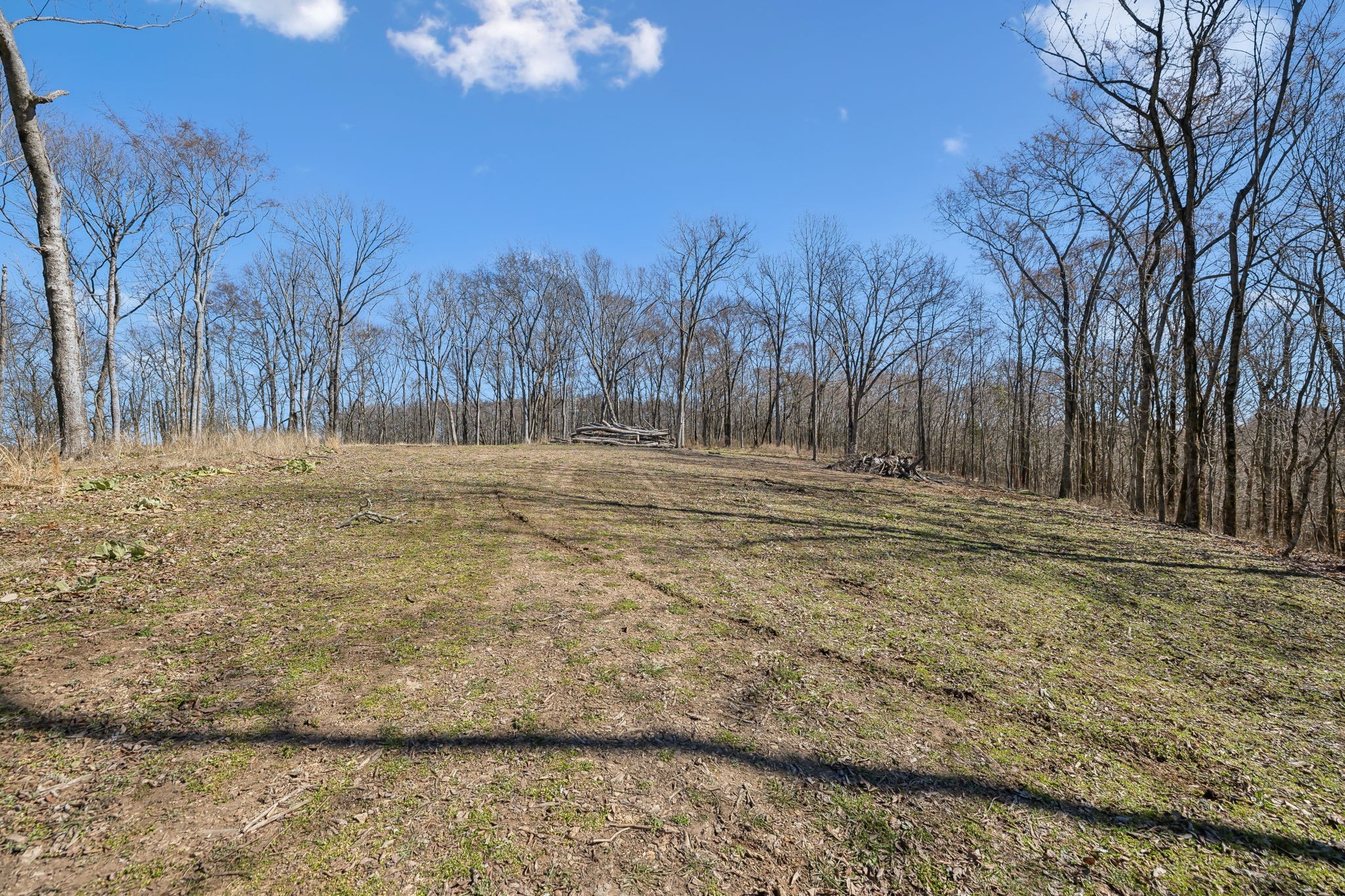 8771 Dog Branch Rd Property Photo 9