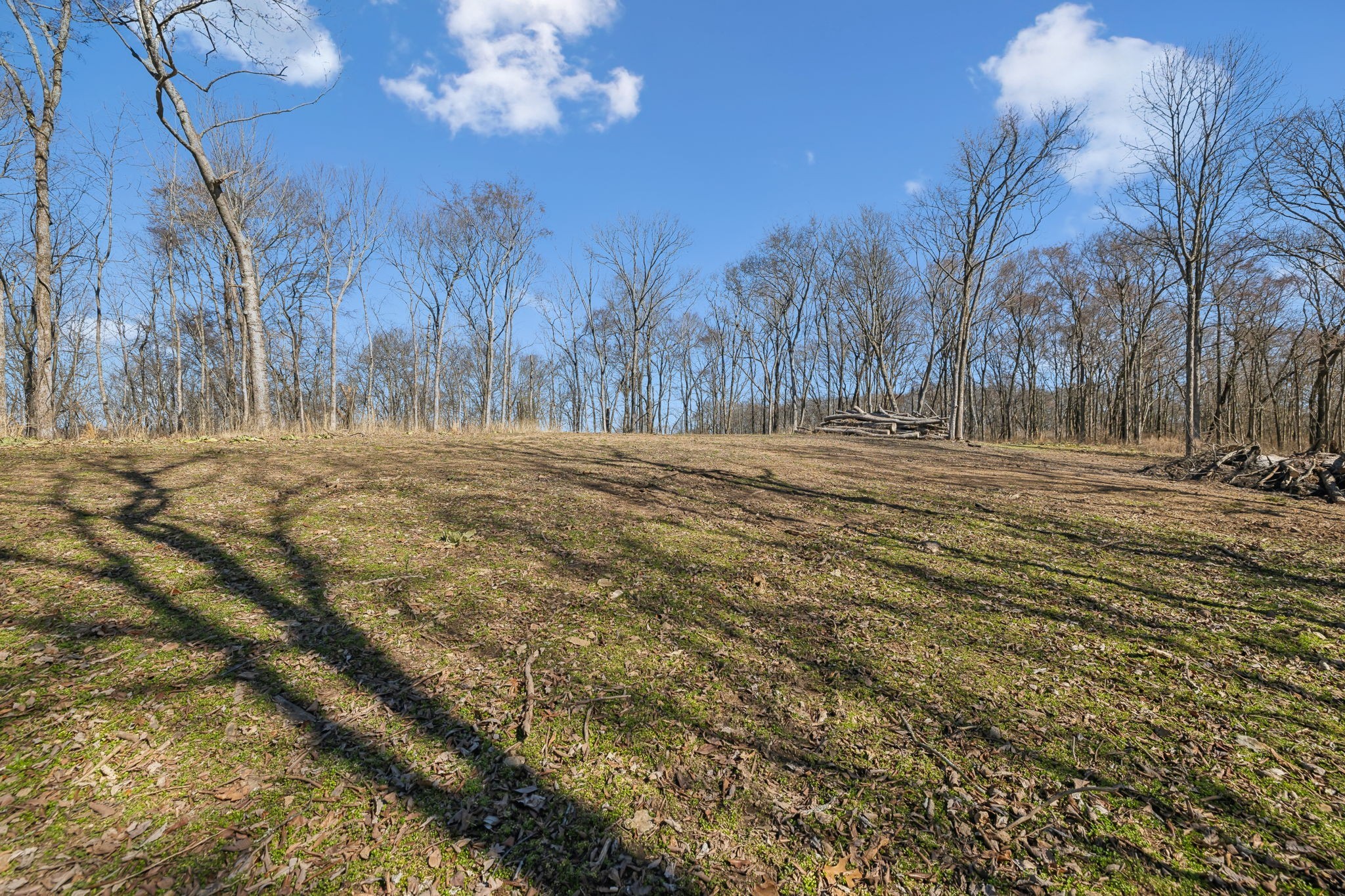 8771 Dog Branch Rd Property Photo 10