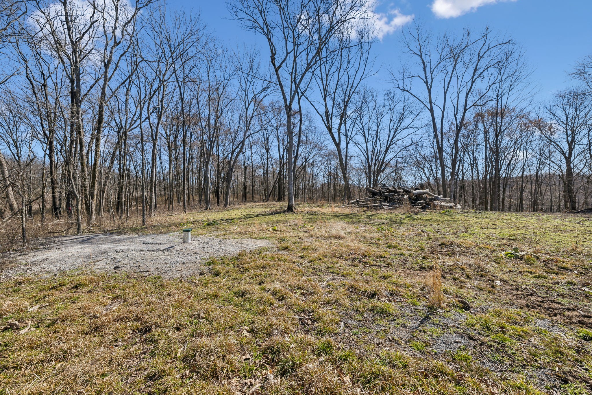 8771 Dog Branch Rd Property Photo 11