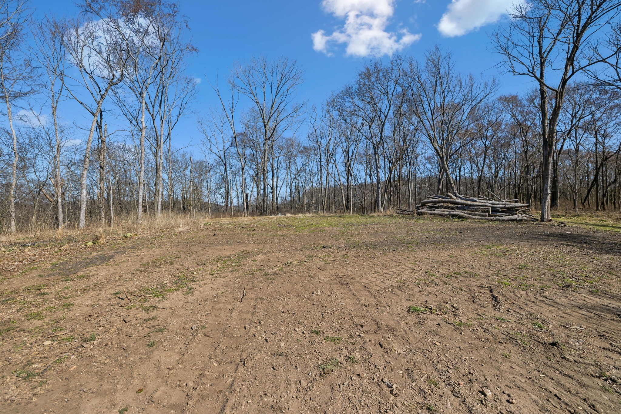 8771 Dog Branch Rd Property Photo 12