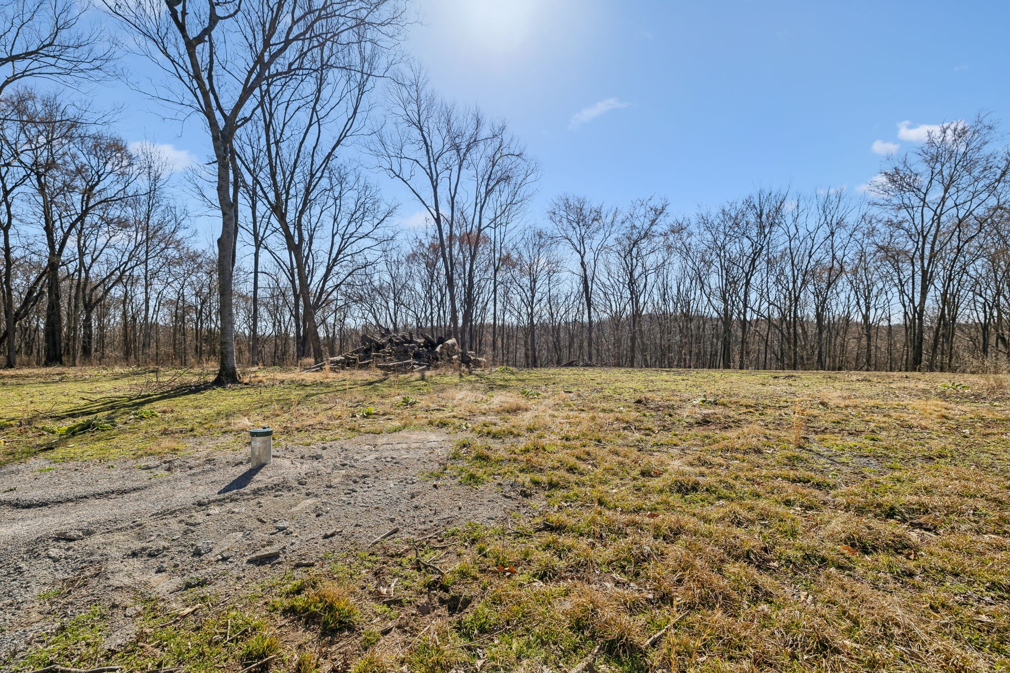 8771 Dog Branch Rd Property Photo 13