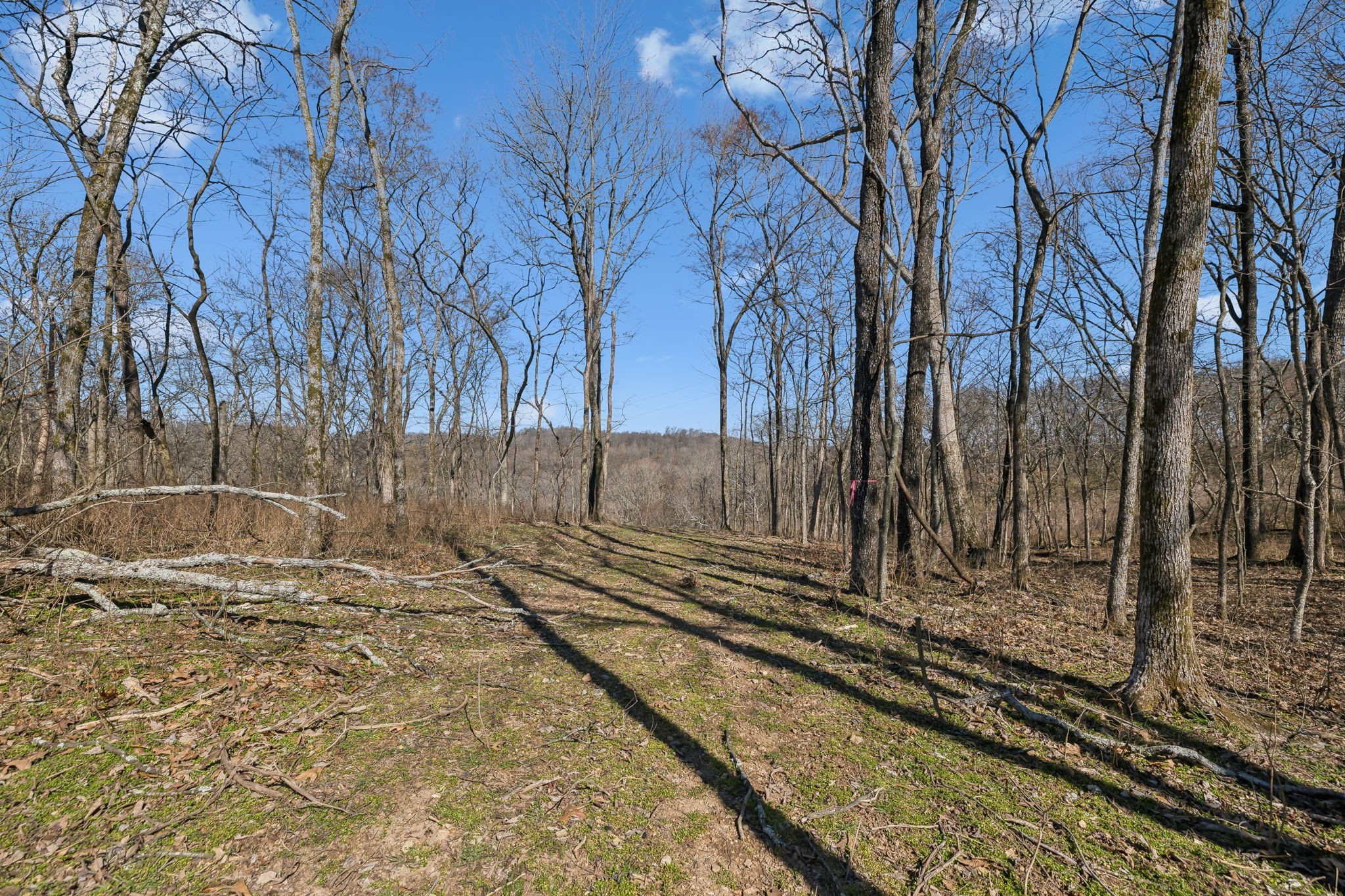 8771 Dog Branch Rd Property Photo 15