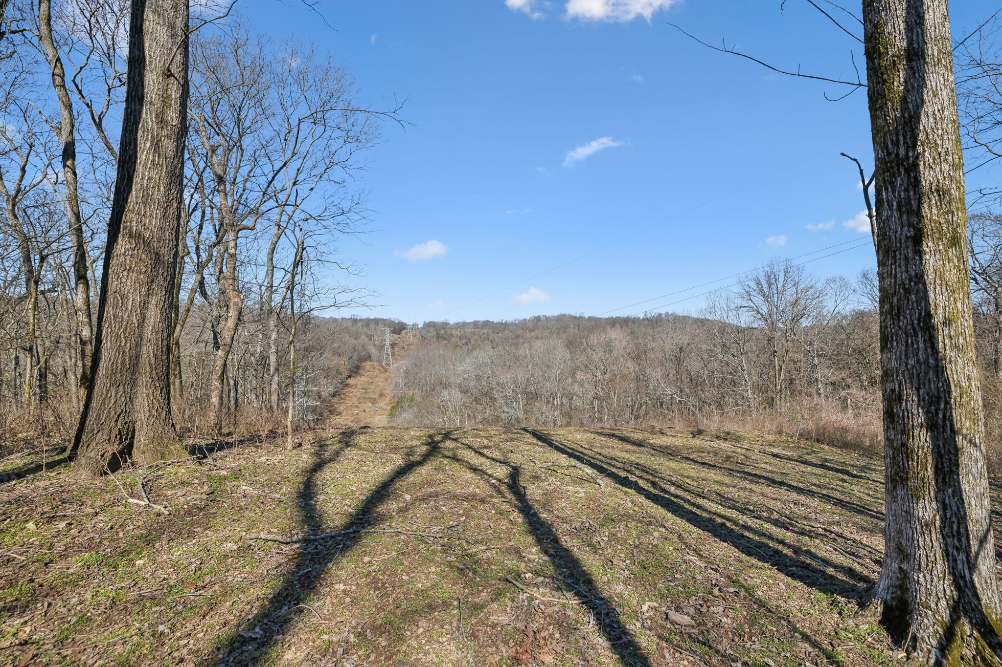 8771 Dog Branch Rd Property Photo 16