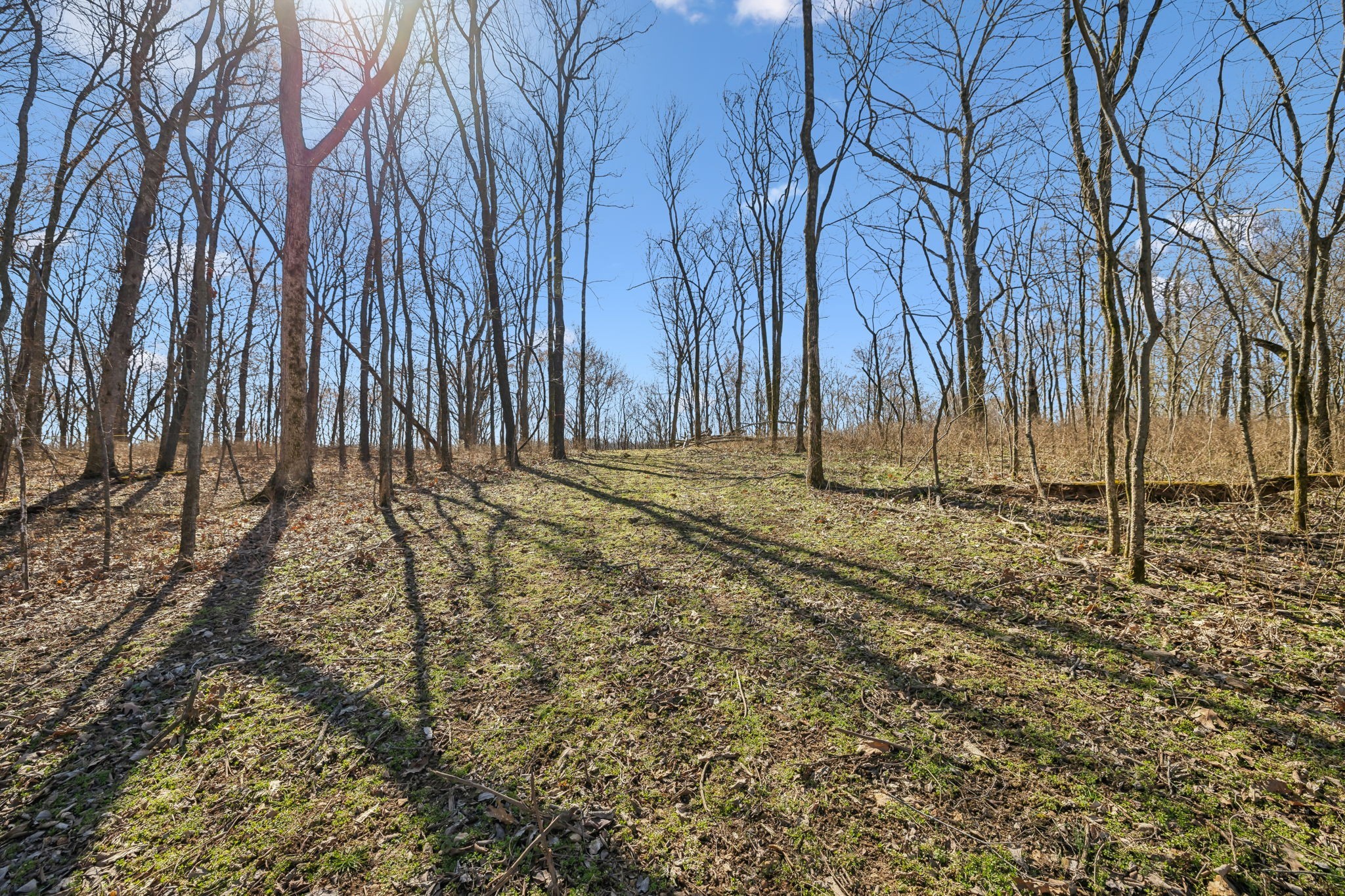 8771 Dog Branch Rd Property Photo 17