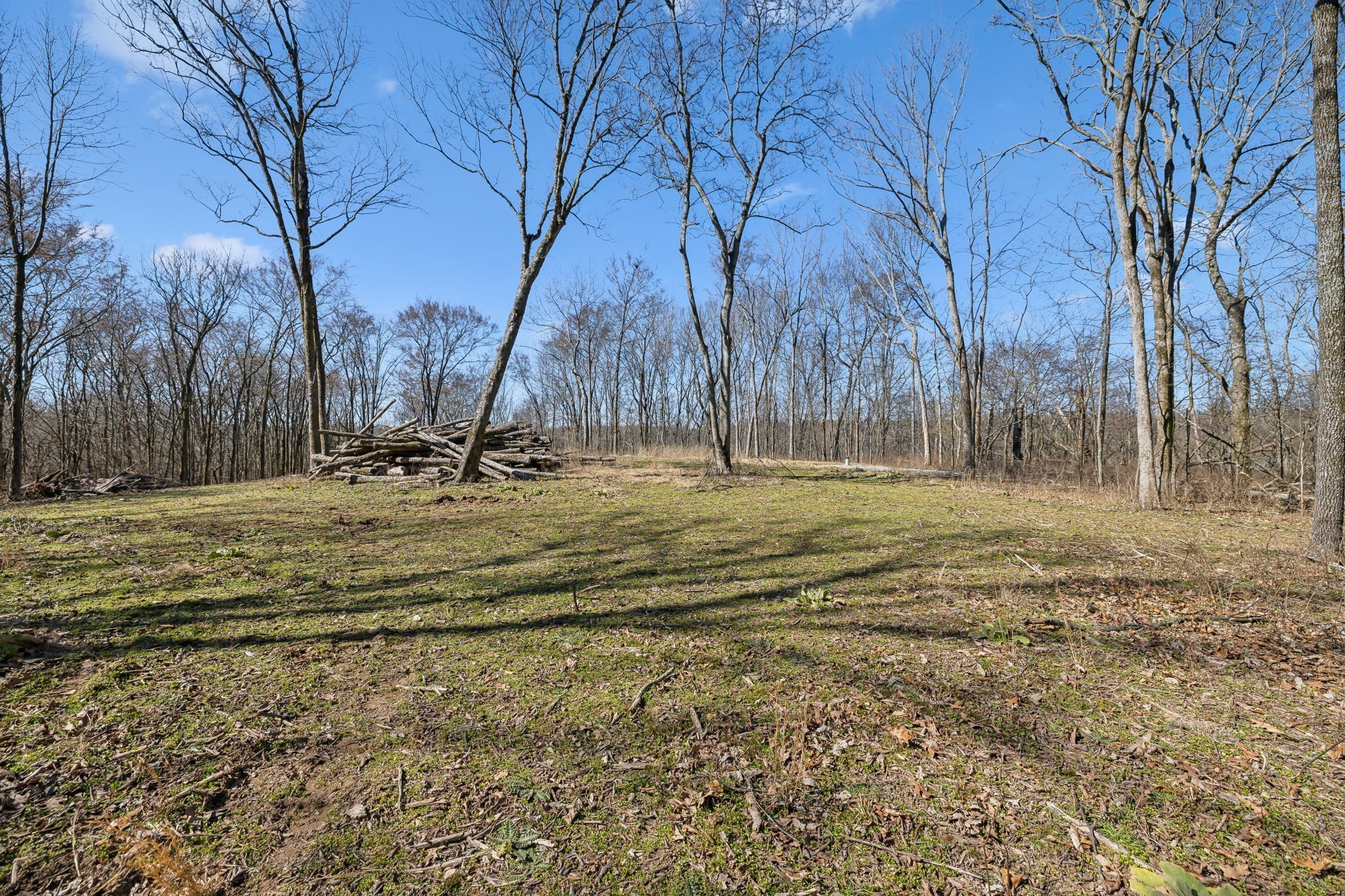 8771 Dog Branch Rd Property Photo 18