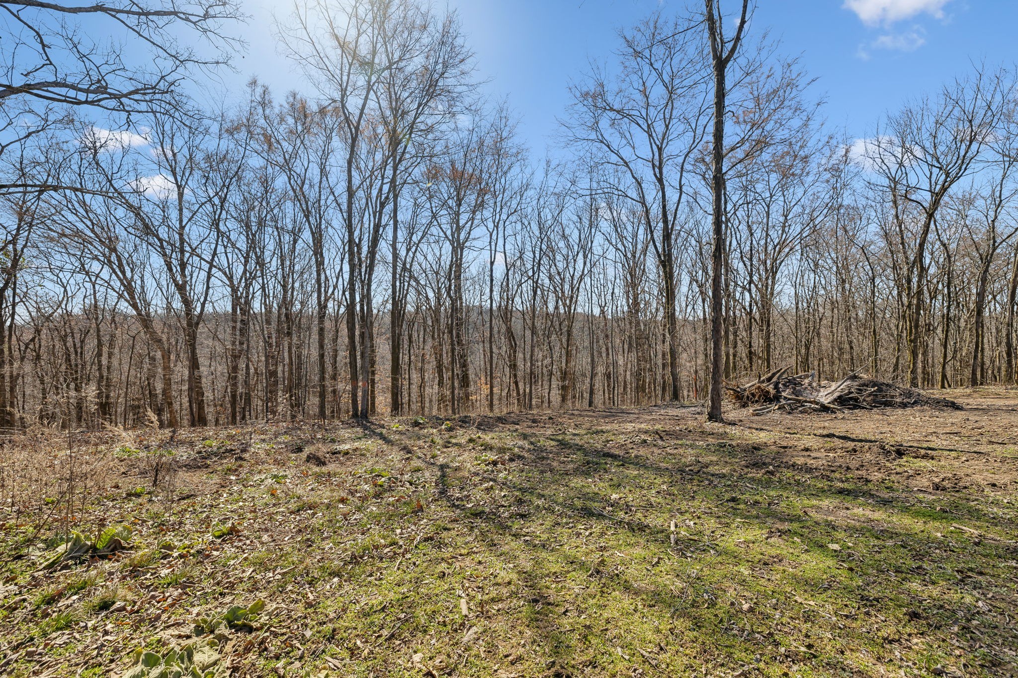 8771 Dog Branch Rd Property Photo 19