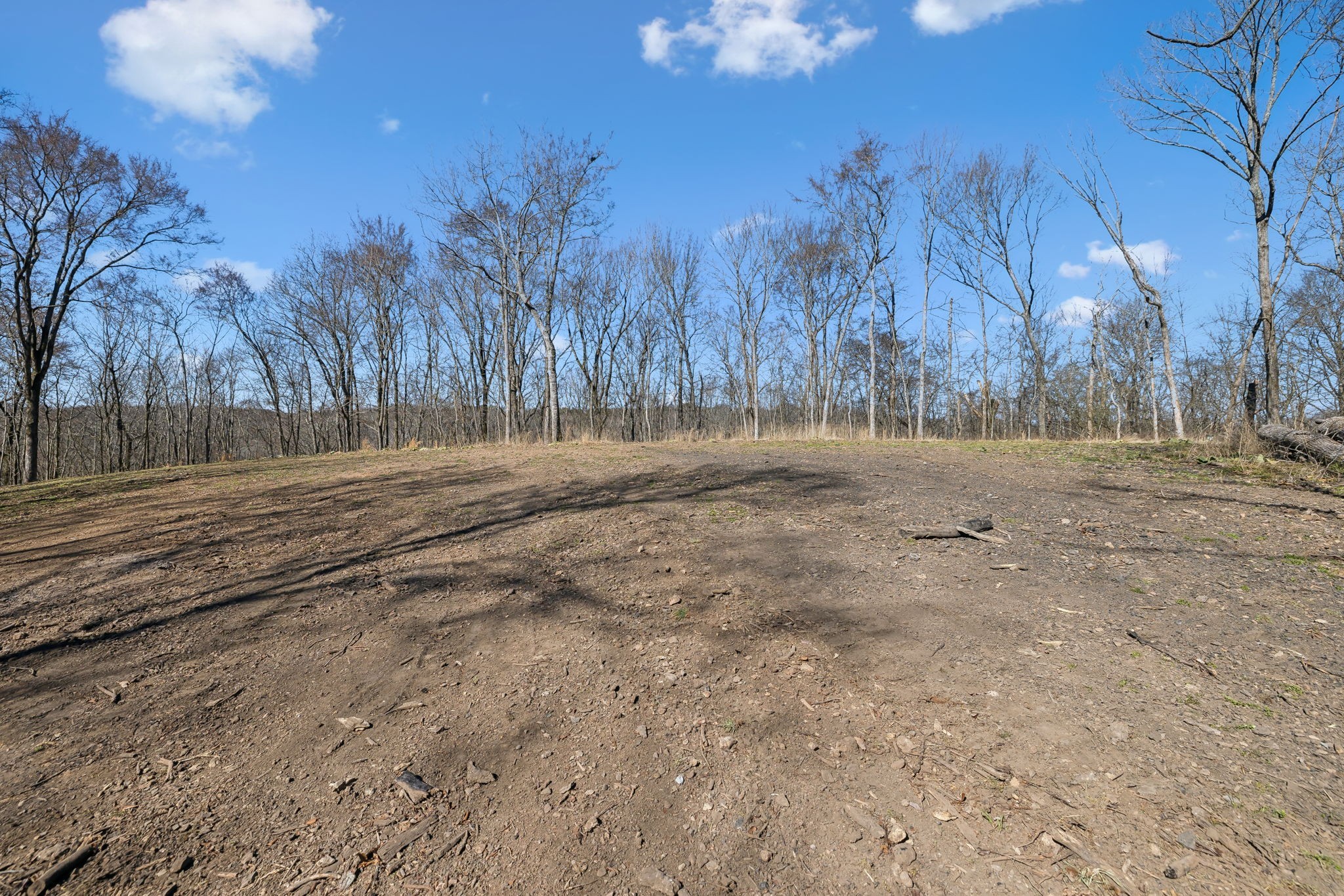 8771 Dog Branch Rd Property Photo 20