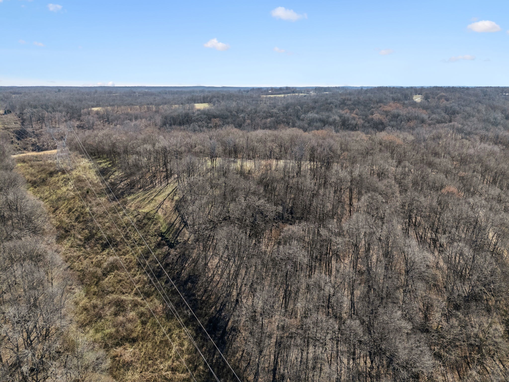 8771 Dog Branch Rd Property Photo 25