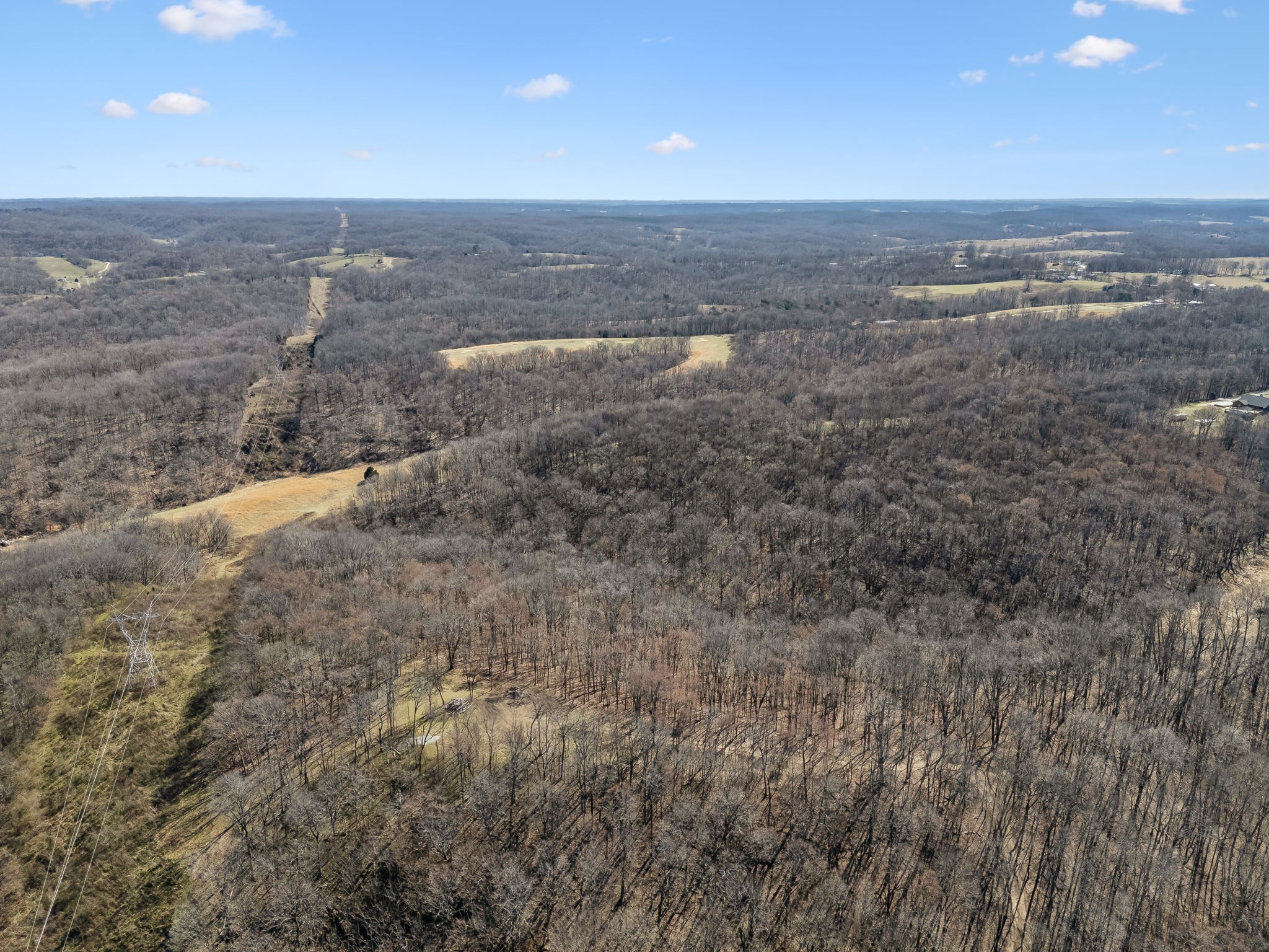 8771 Dog Branch Rd Property Photo 26