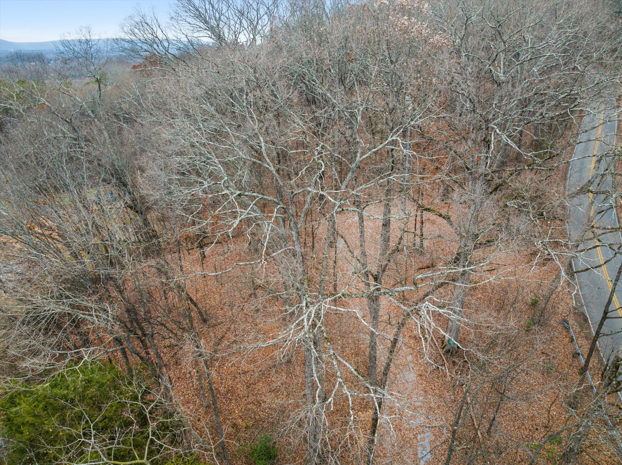 0 Hamill Road Property Photo 1