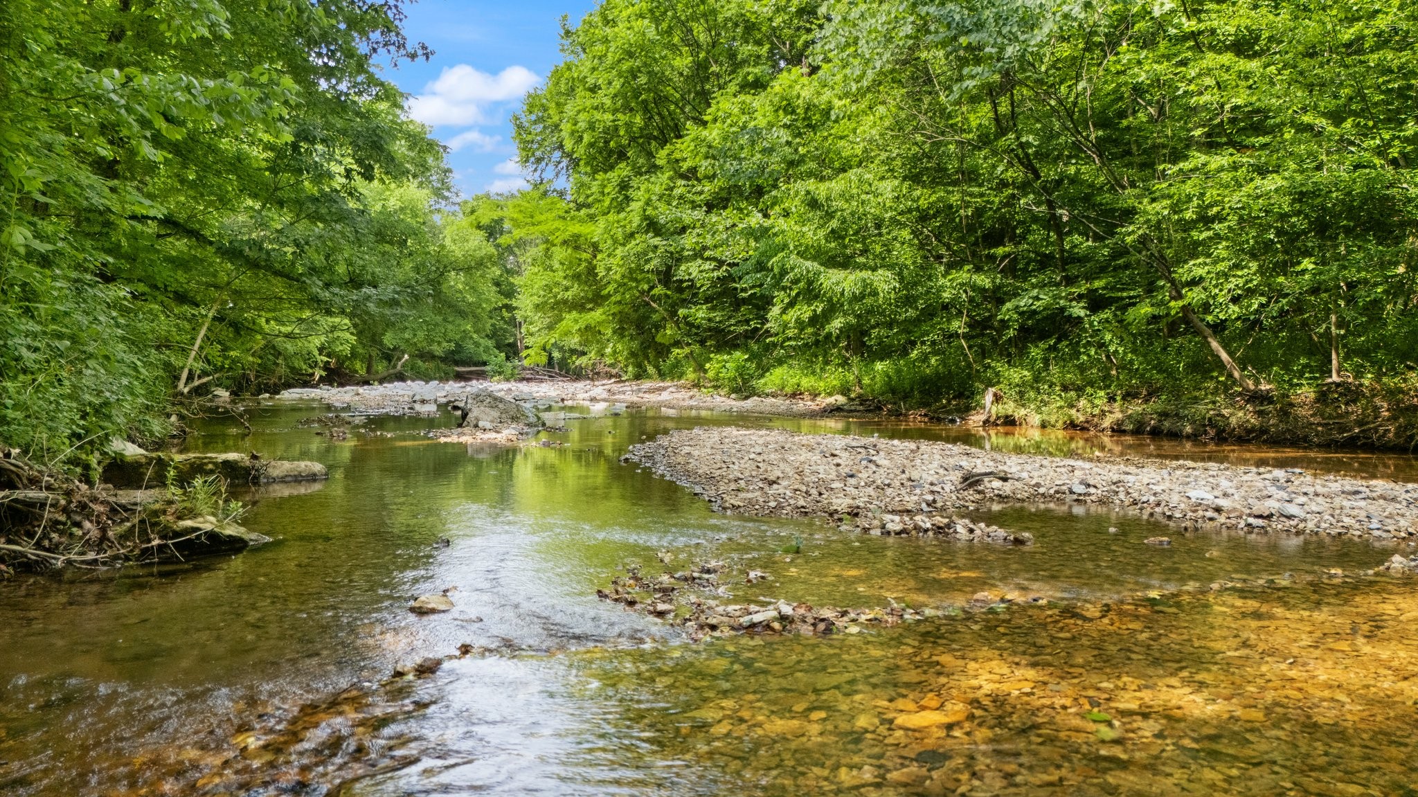 42 E Oneal Rd Property Photo 1