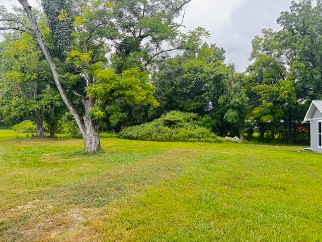 58 Campbell Ln Property Photo 2