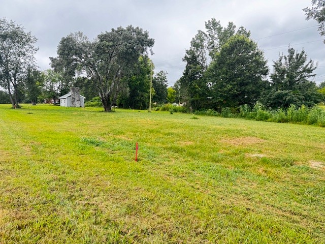 58 Campbell Ln Property Photo 5