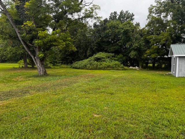 58 Campbell Ln Property Photo 8