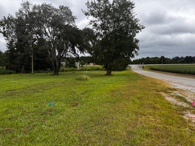 58 Campbell Ln Property Photo 10