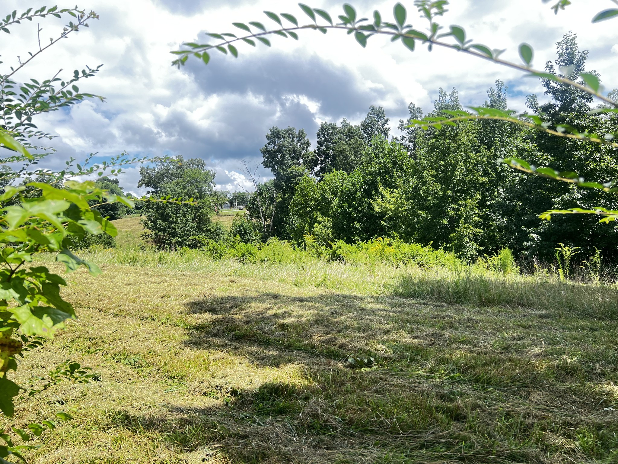 0 Dyer Ridge Rd Property Photo 2