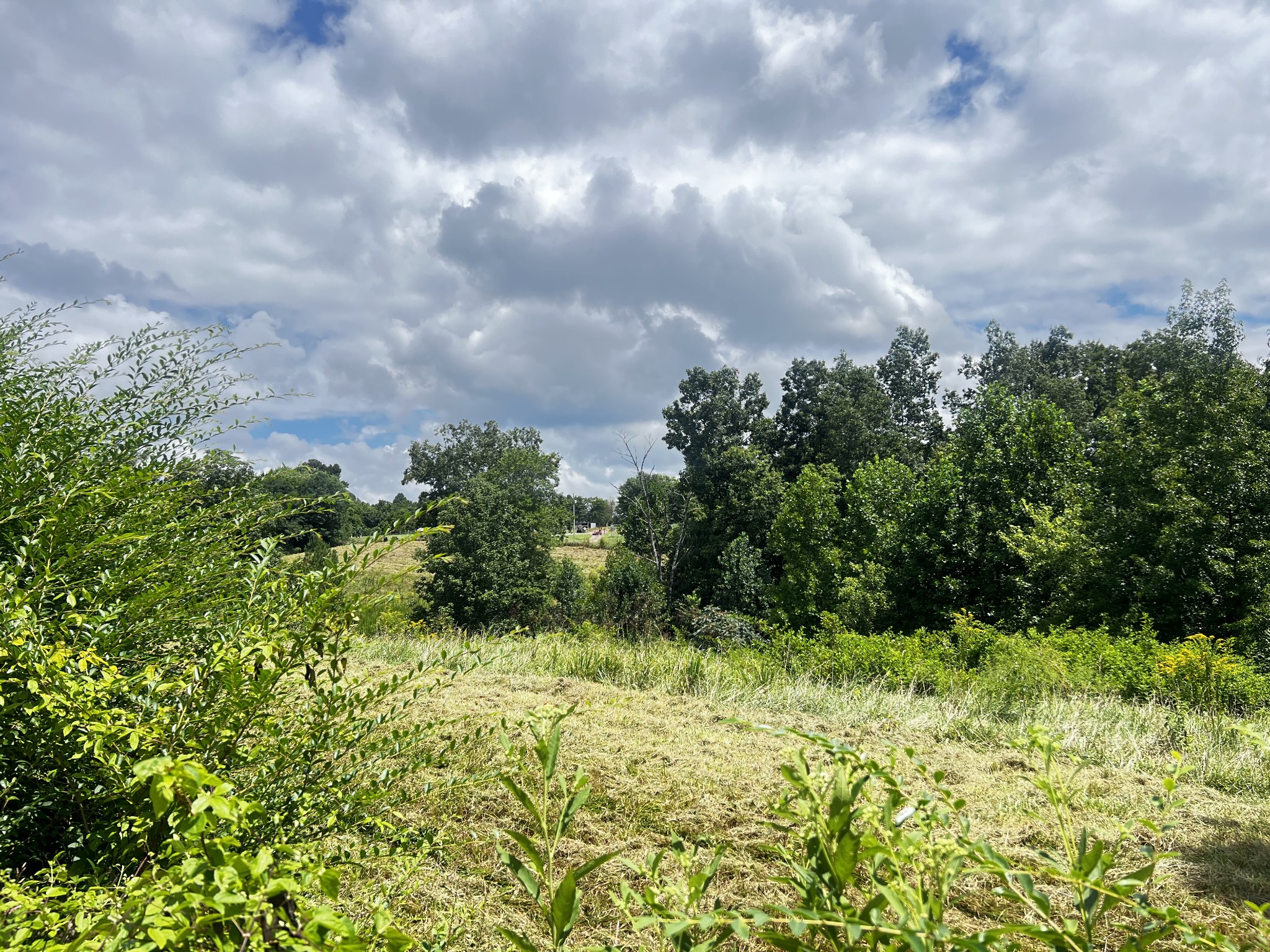 0 Dyer Ridge Rd Property Photo 3