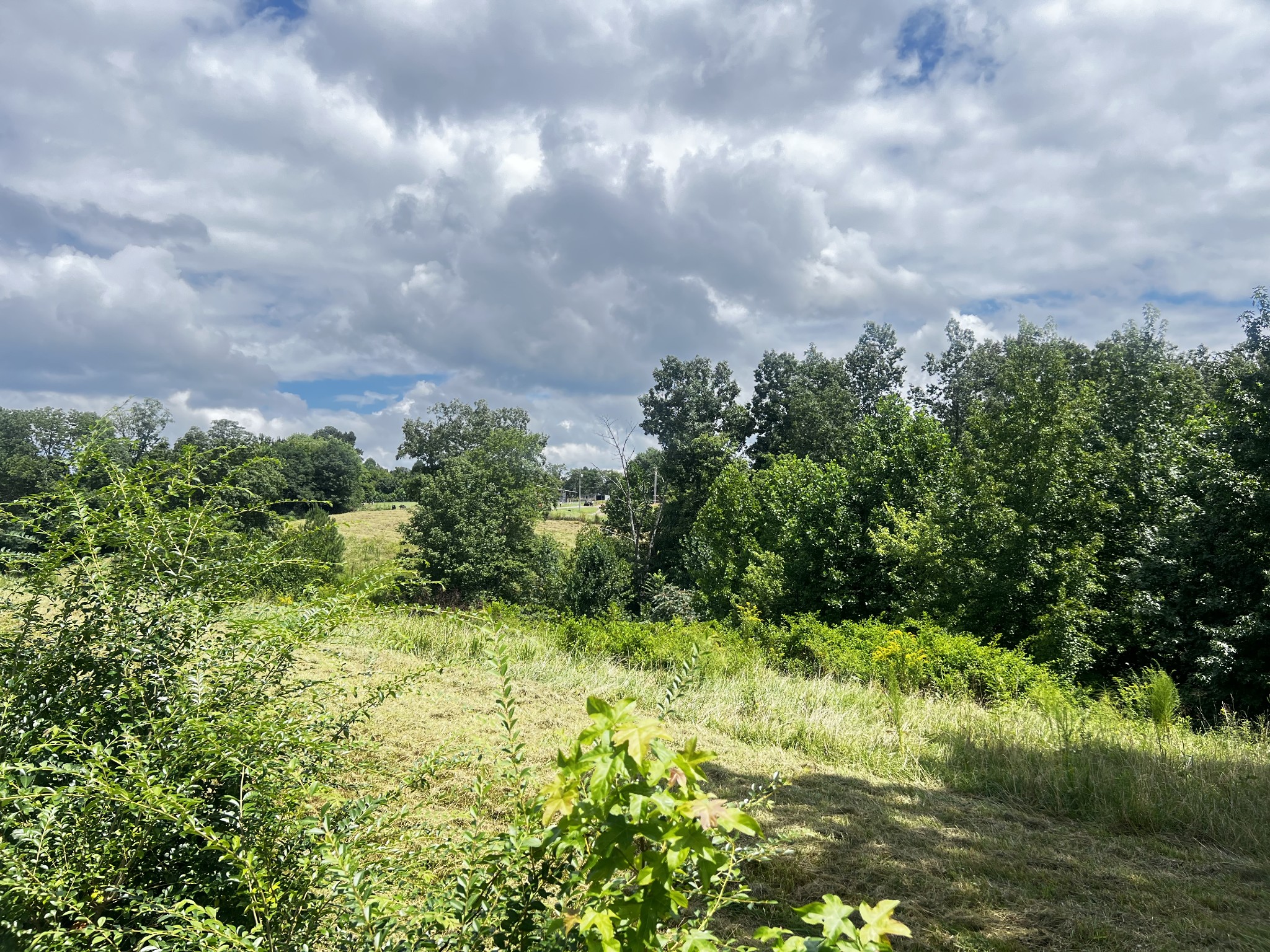 0 Dyer Ridge Rd Property Photo 4