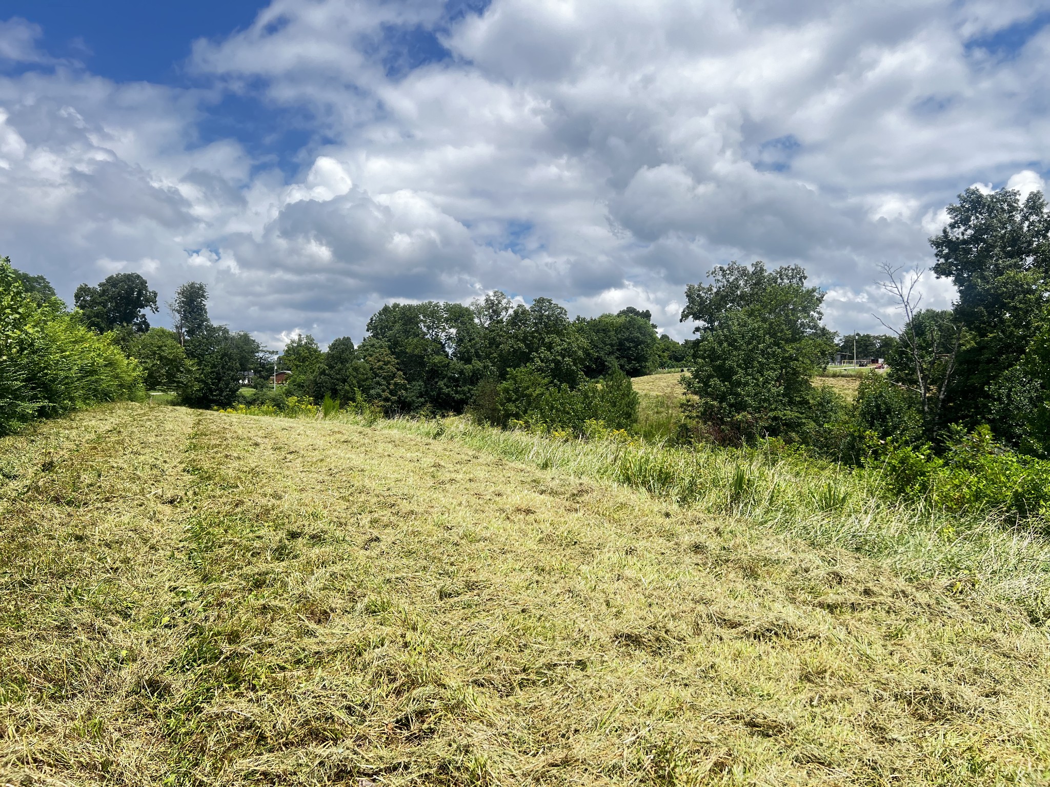 0 Dyer Ridge Rd Property Photo 5