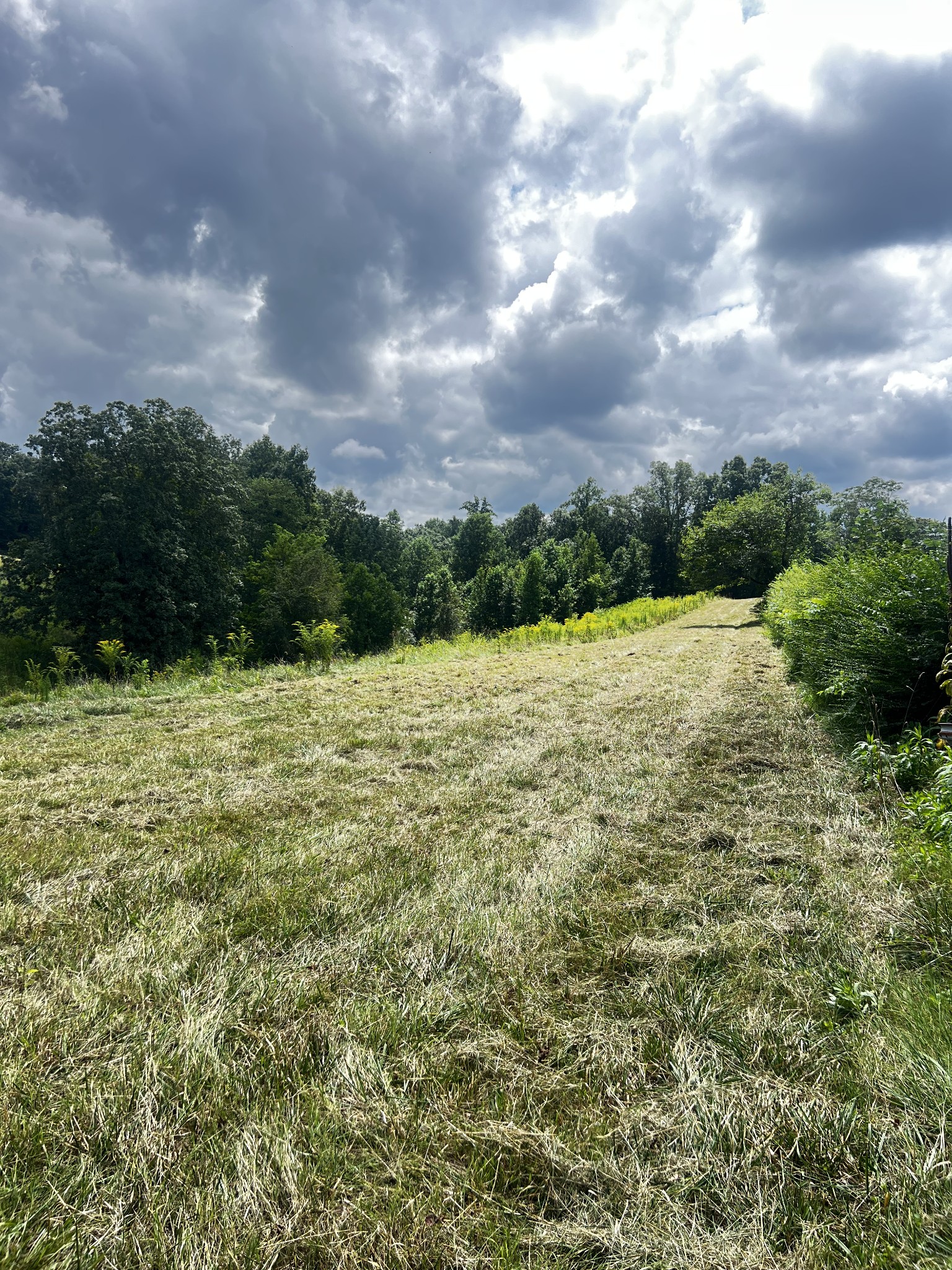 0 Dyer Ridge Rd Property Photo 7