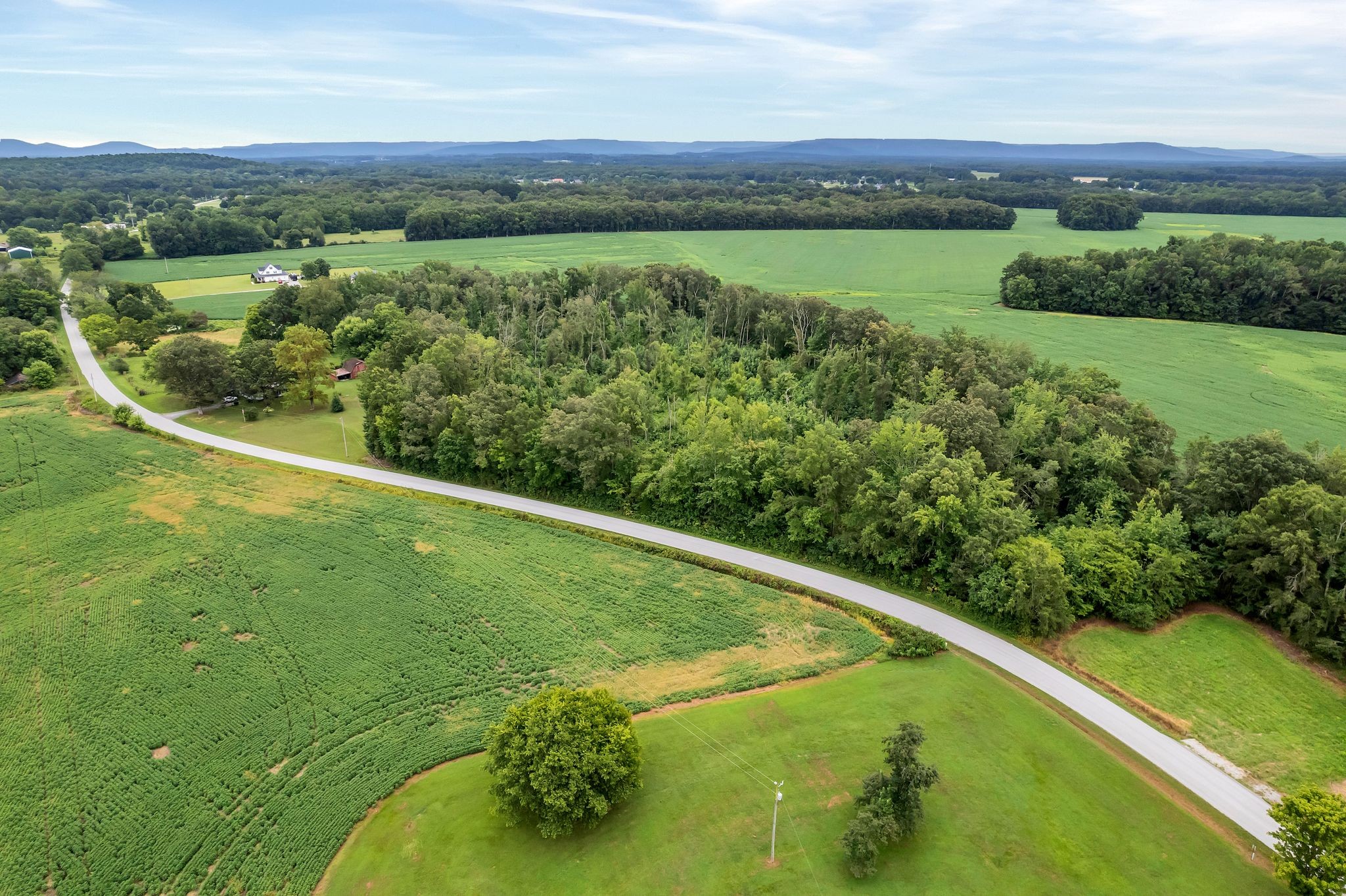 0 Pete Sain Road Property Photo 5