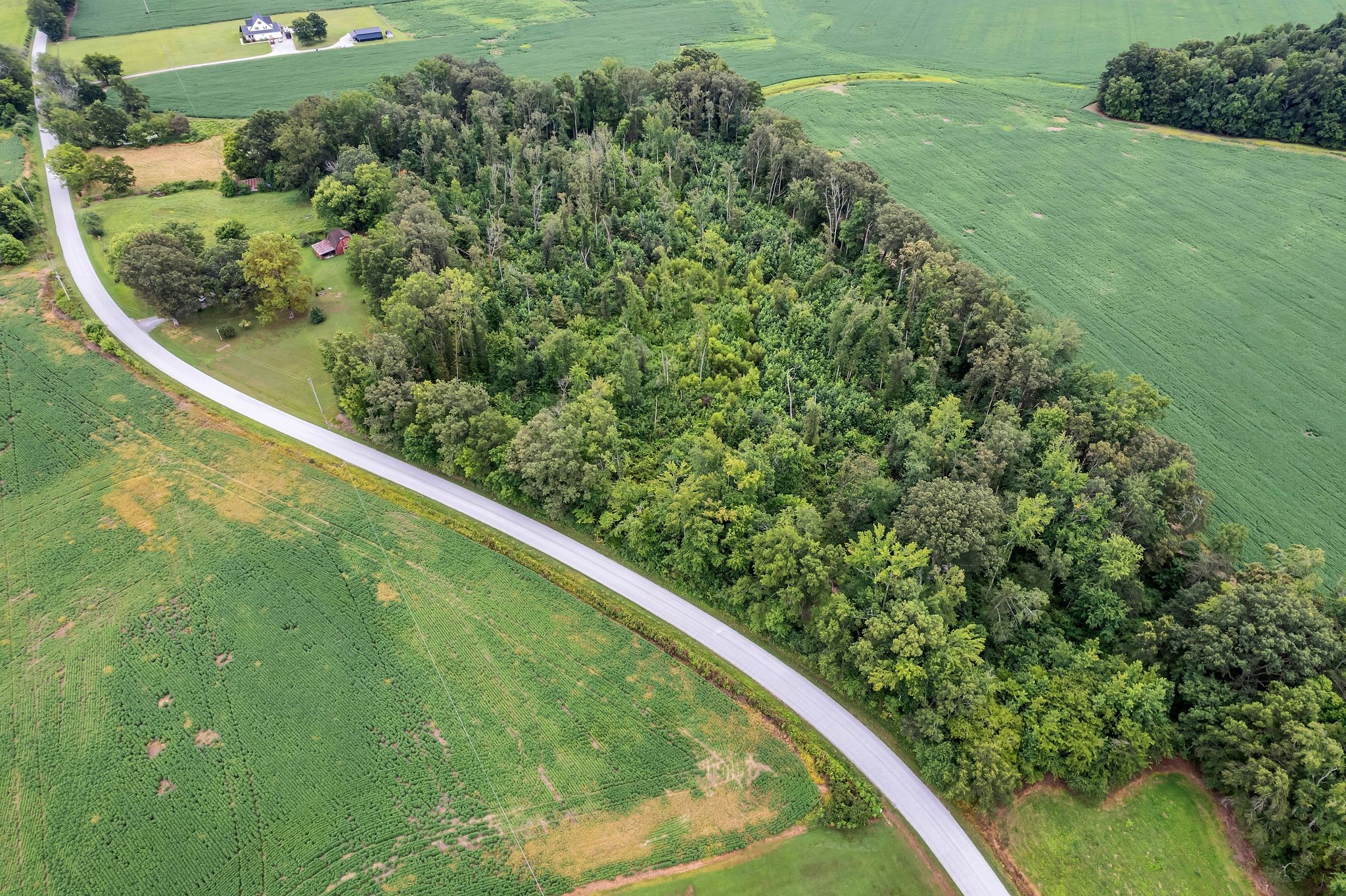 0 Pete Sain Road Property Photo 6