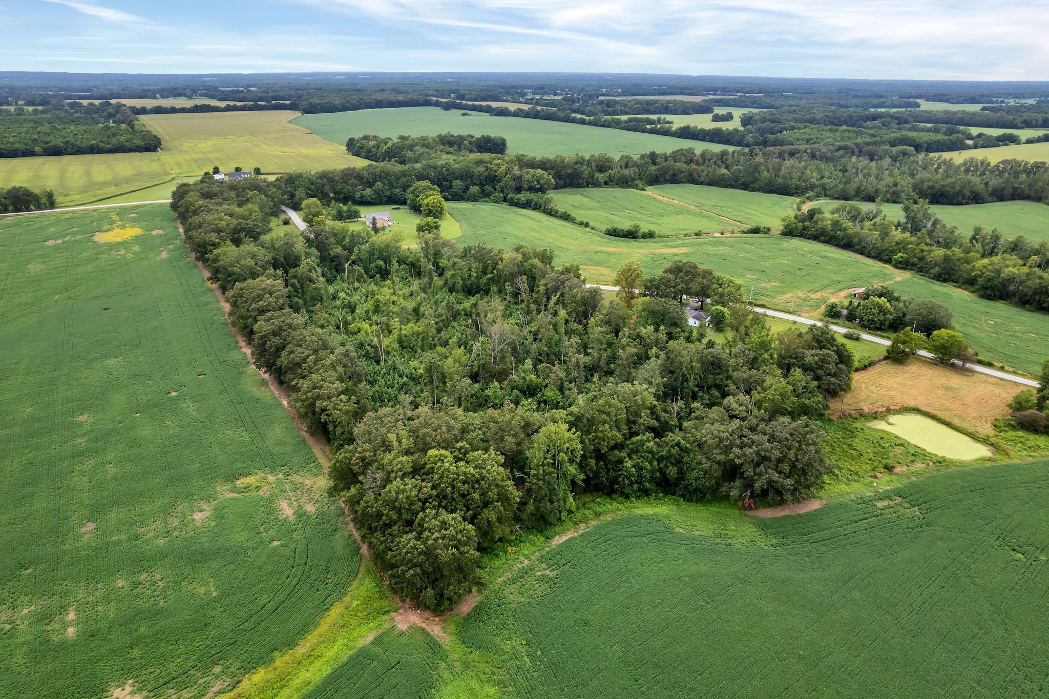 0 Pete Sain Road Property Photo 11