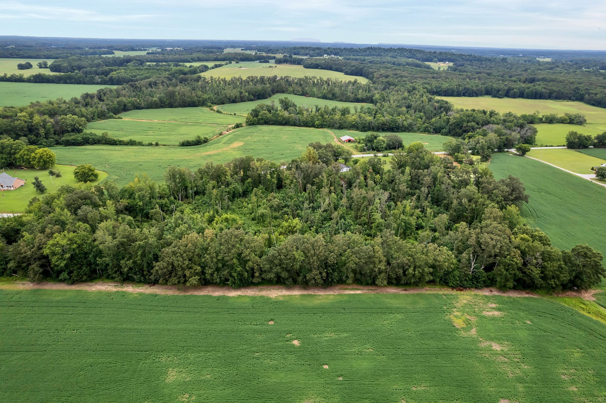 0 Pete Sain Road Property Photo 12