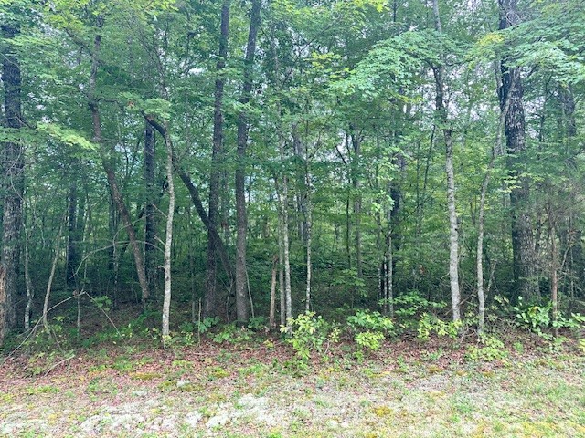 0 Cumberland Lakes Dr Property Photo 1