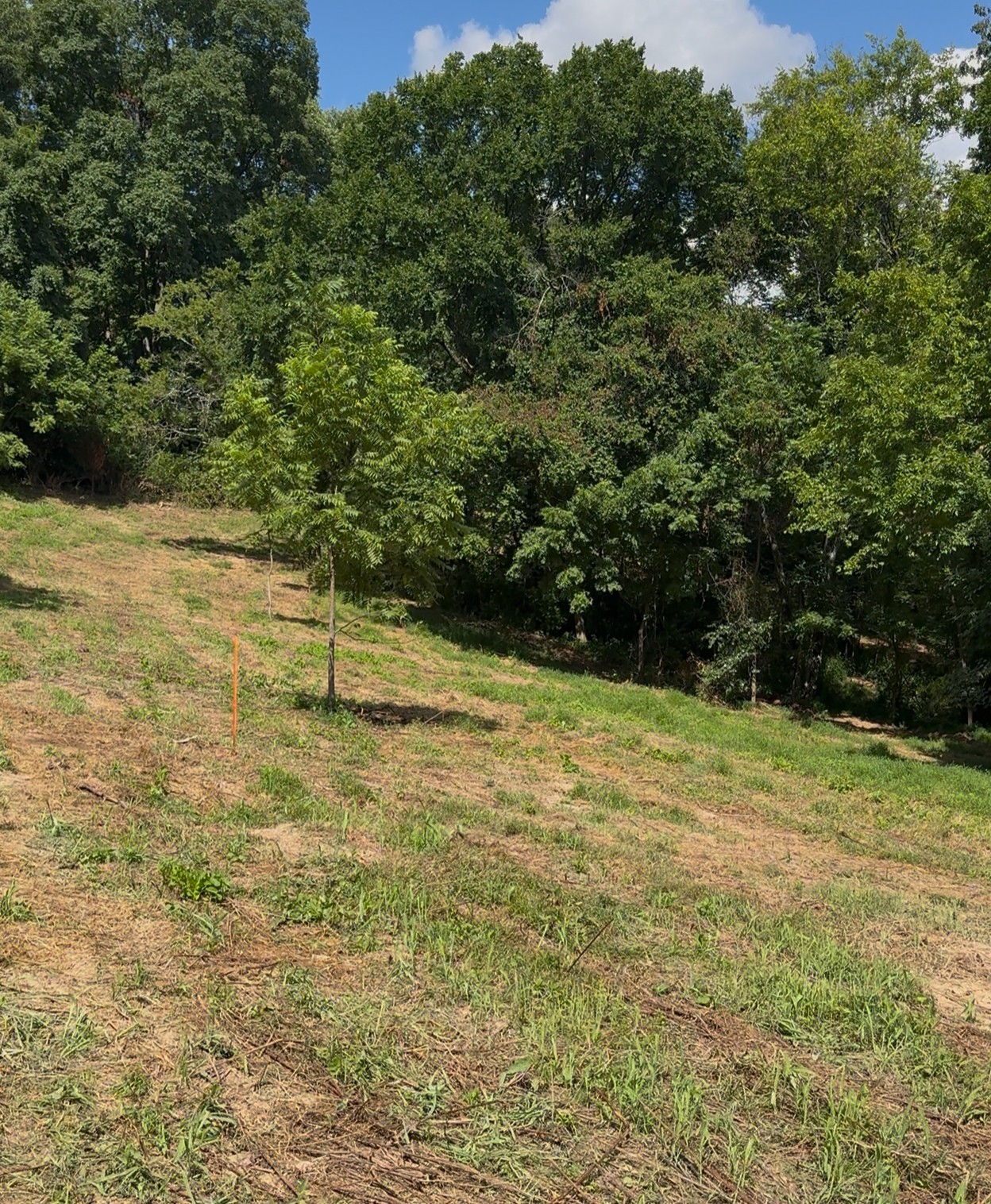 1 Hitt Lane Property Photo 1