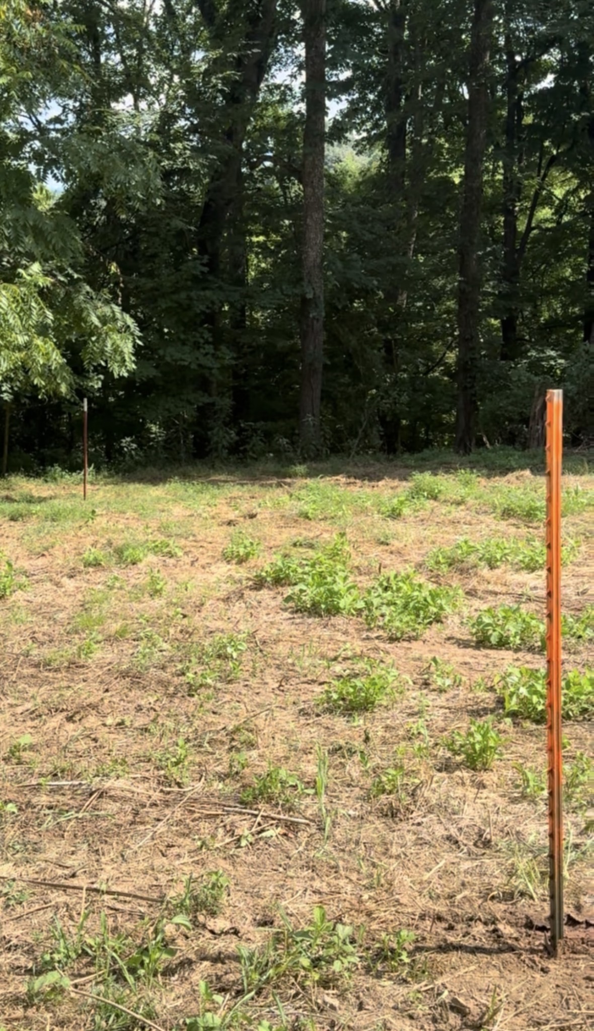 1 Hitt Lane Property Photo 2