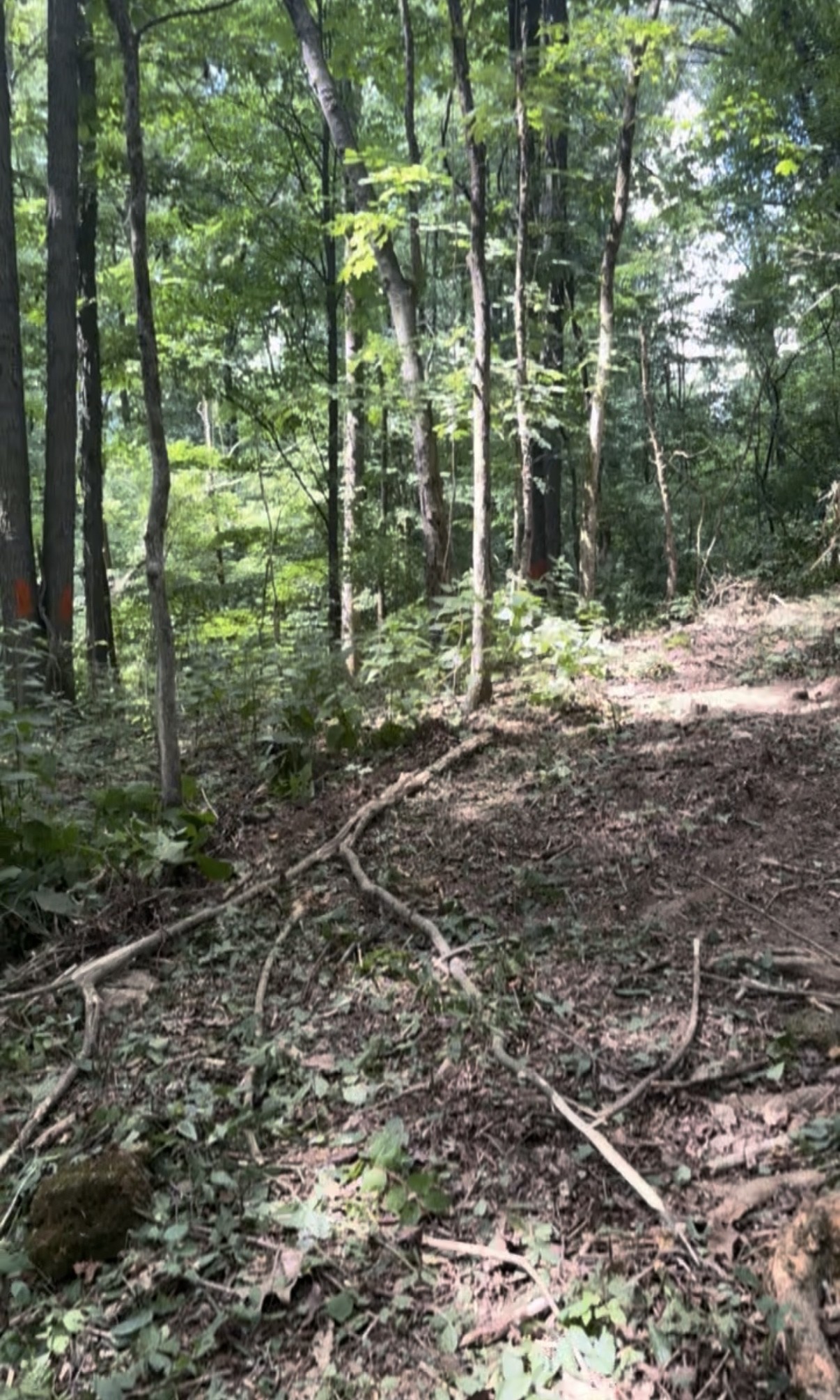 1 Hitt Lane Property Photo 3