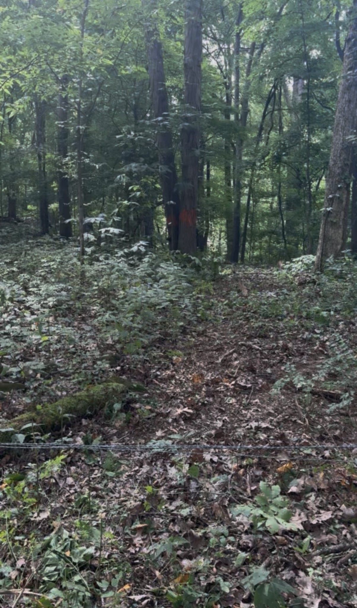 1 Hitt Lane Property Photo 4