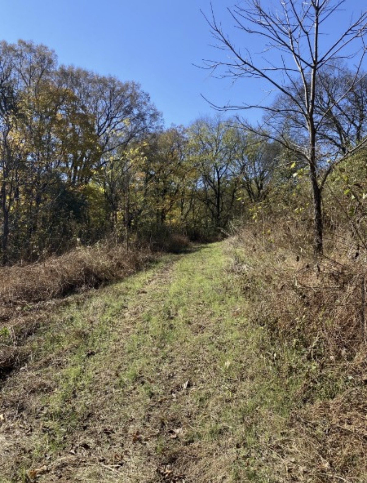 1 Hitt Lane Property Photo 7