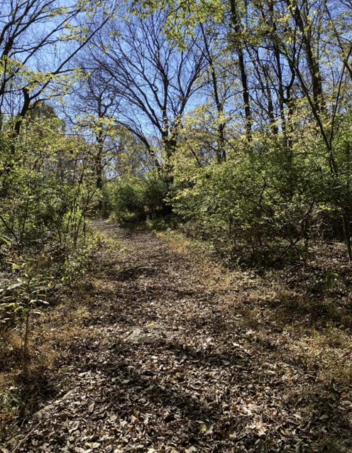 1 Hitt Lane Property Photo 8