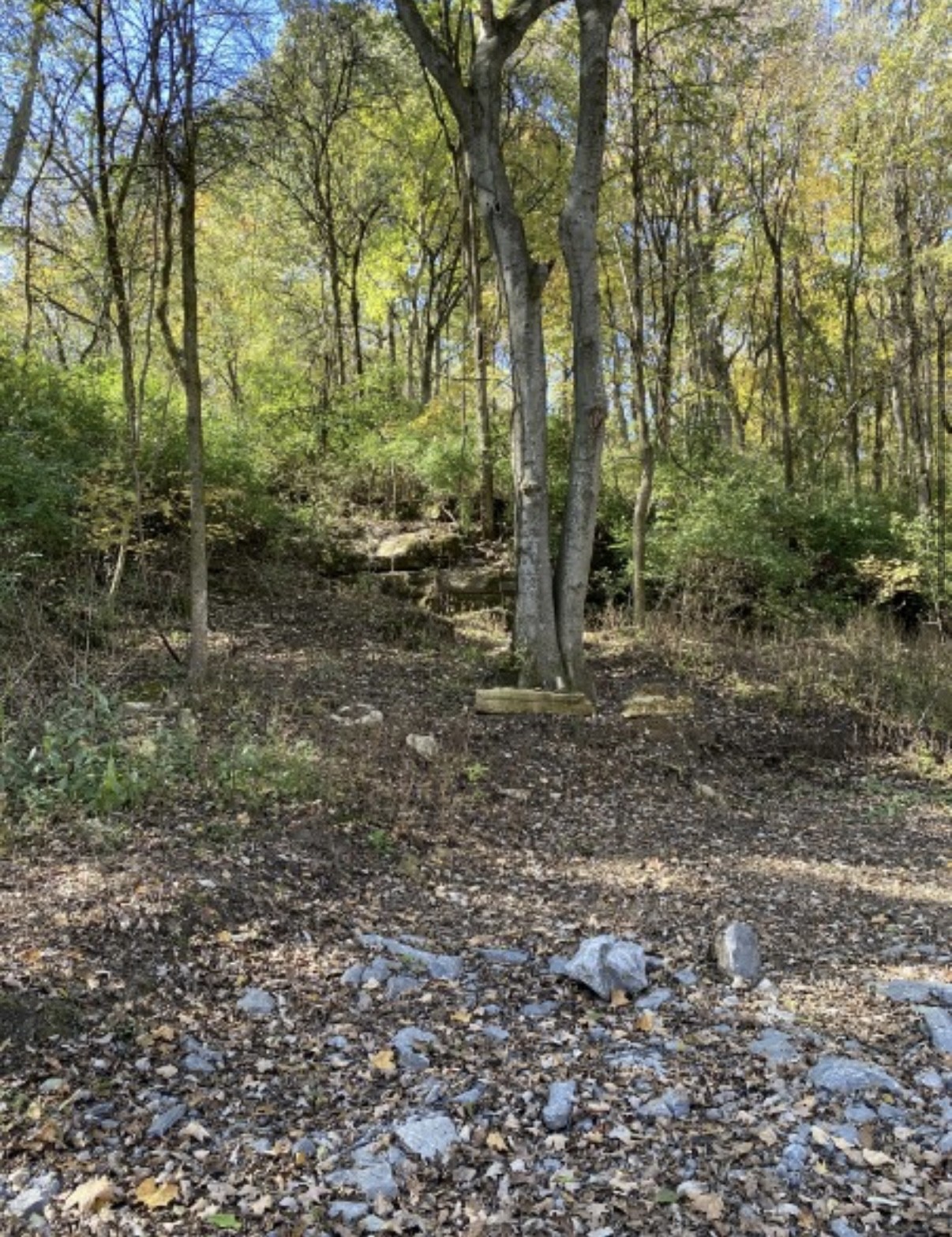 1 Hitt Lane Property Photo 9