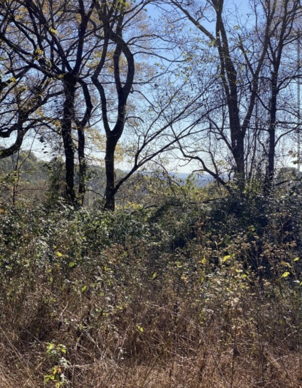 1 Hitt Lane Property Photo 10