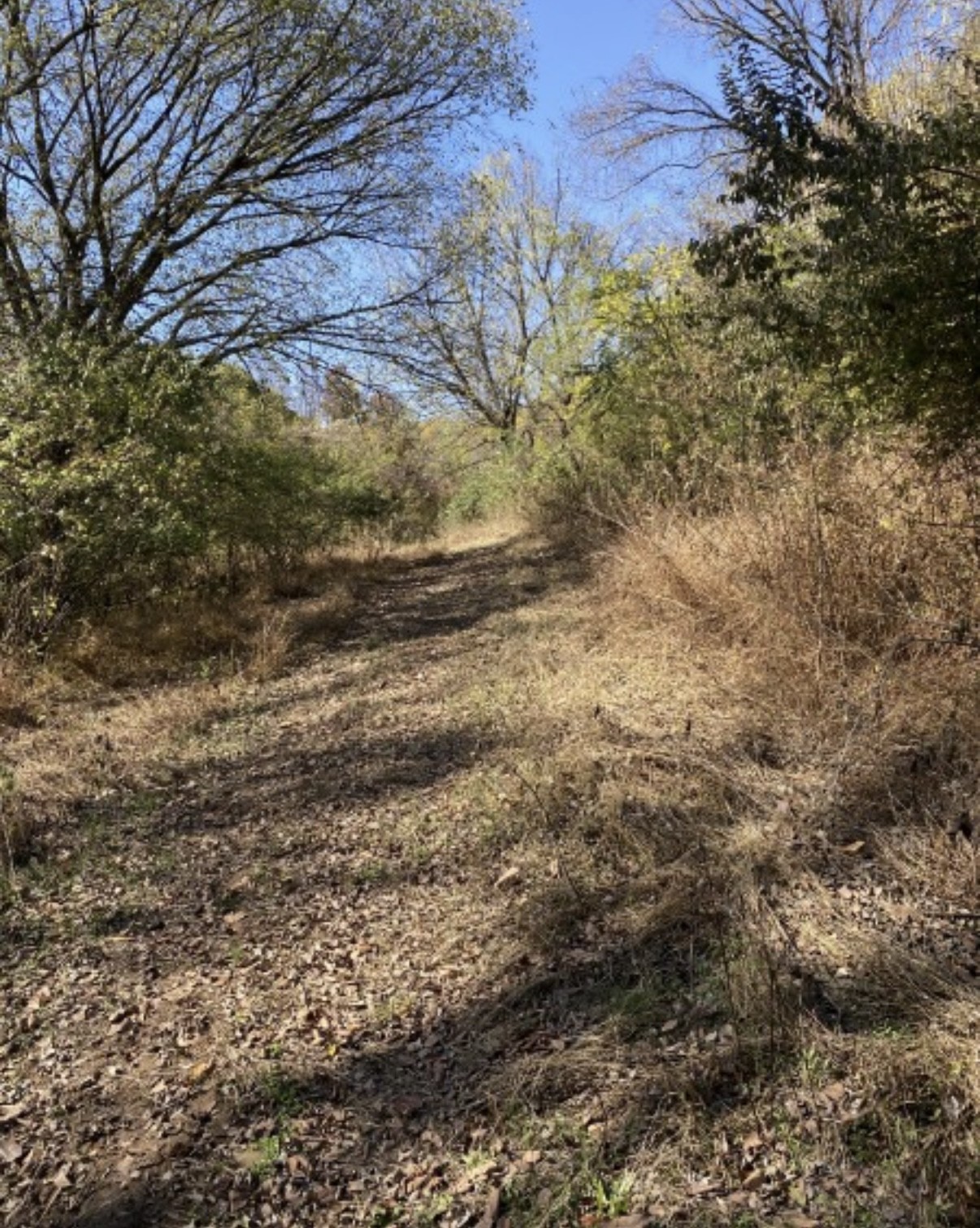 1 Hitt Lane Property Photo 11