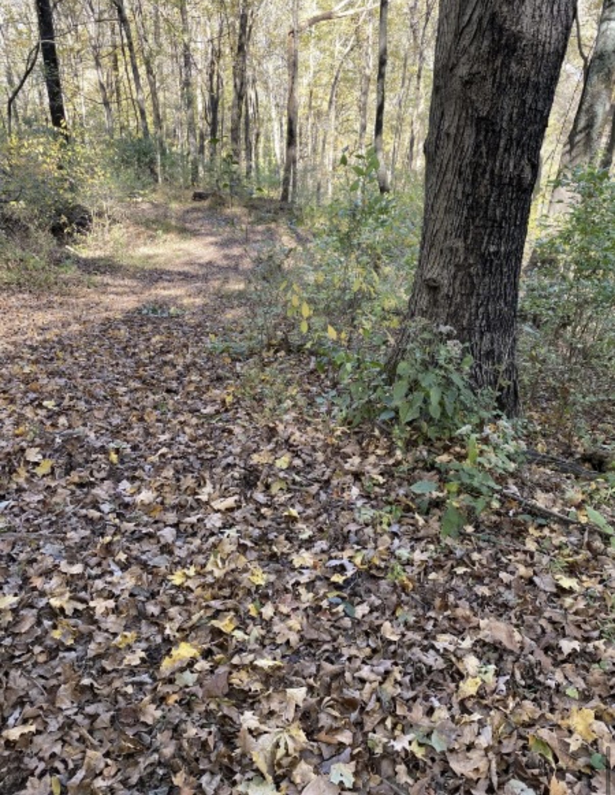 1 Hitt Lane Property Photo 12