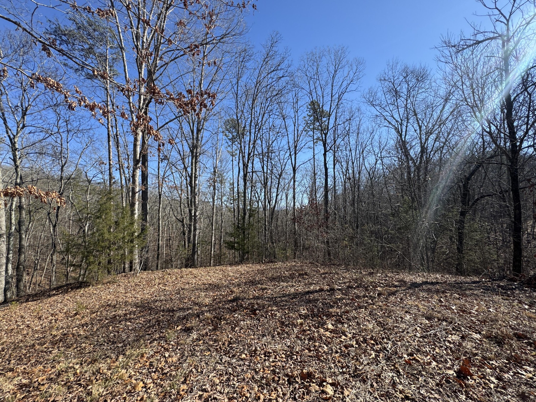0 Fox Trail Drive Property Photo 1