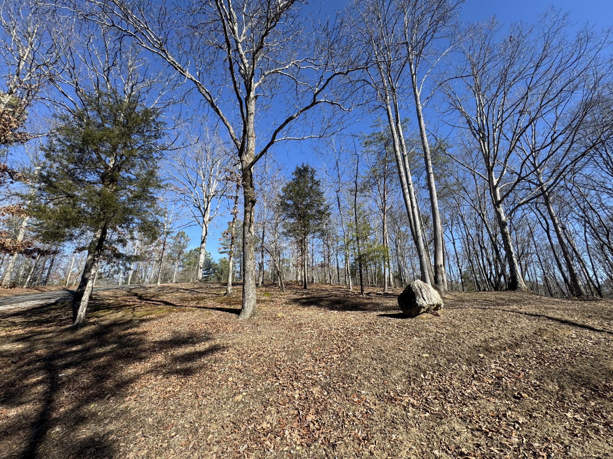 0 Fox Trail Drive Property Photo 4