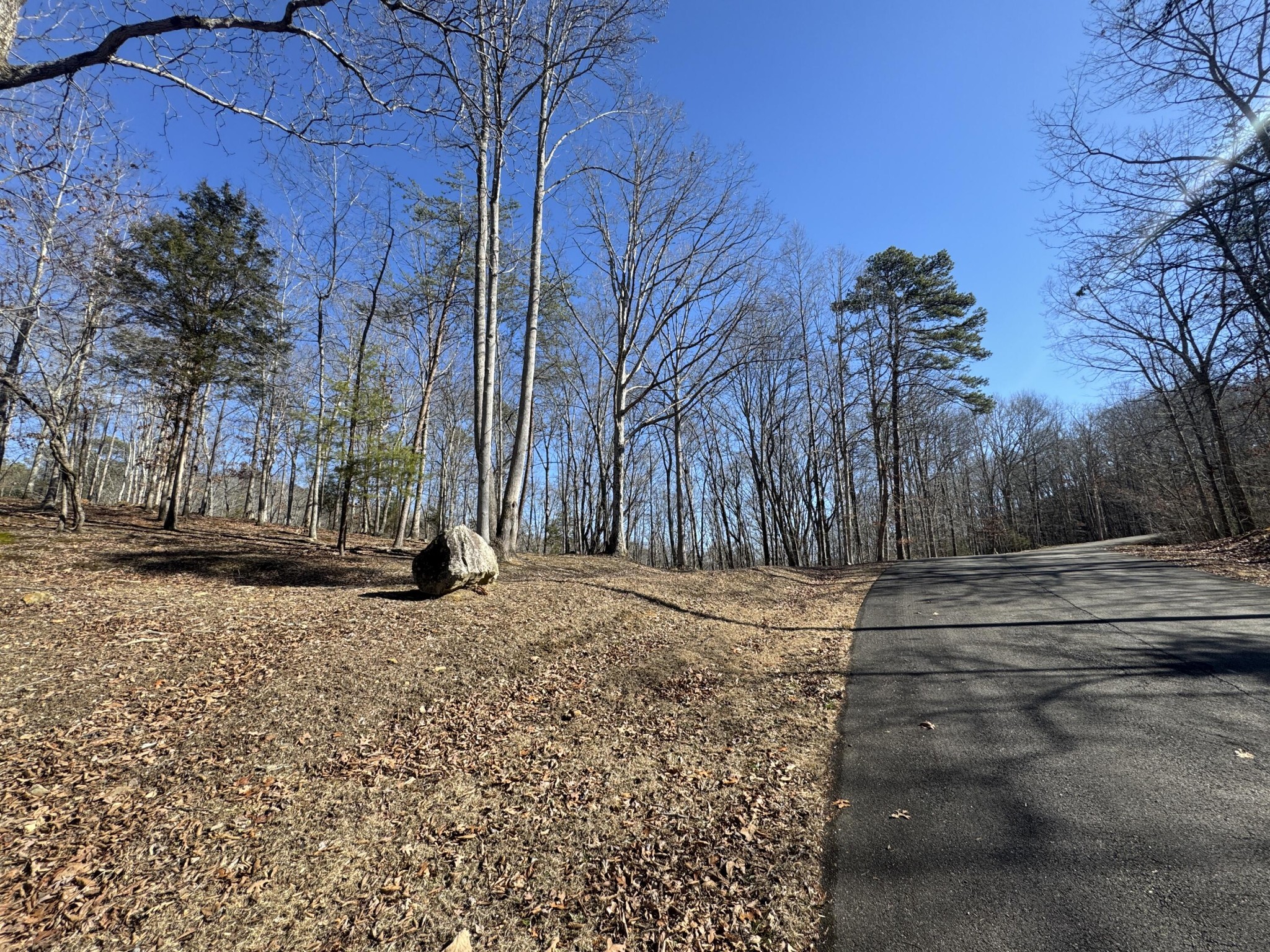 0 Fox Trail Drive Property Photo 5