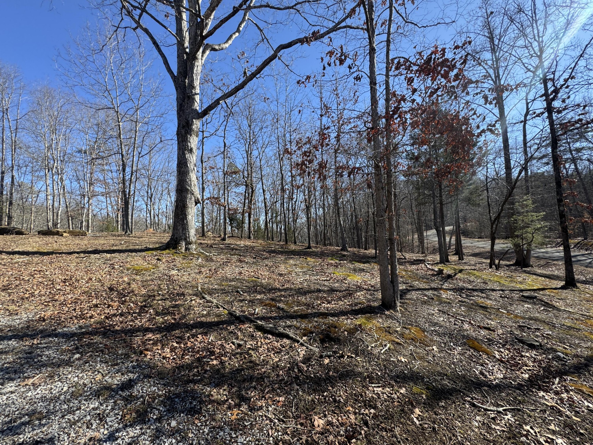 0 Fox Trail Drive Property Photo 6