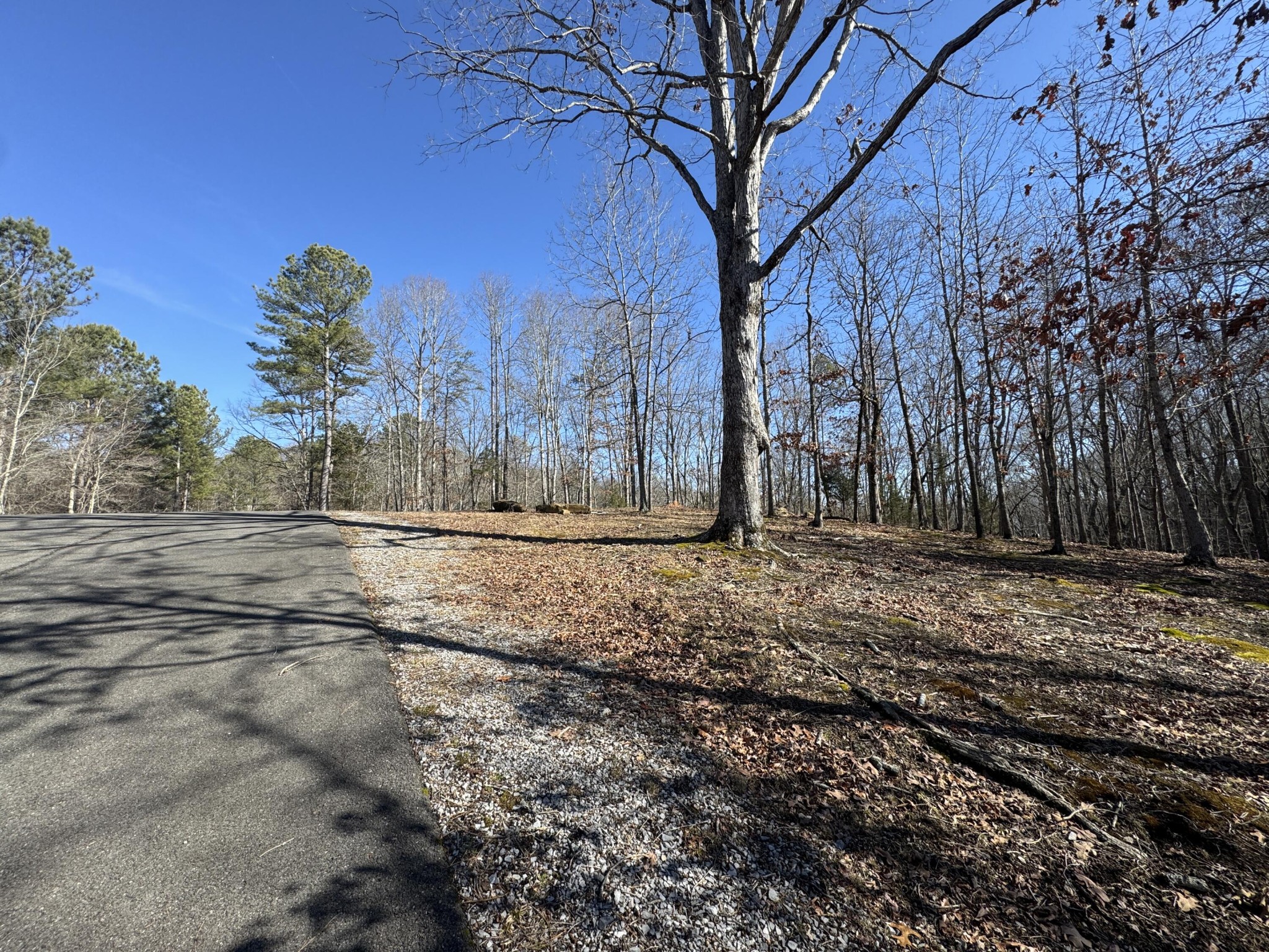 0 Fox Trail Drive Property Photo 7